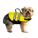 Pet Safety & Accessories